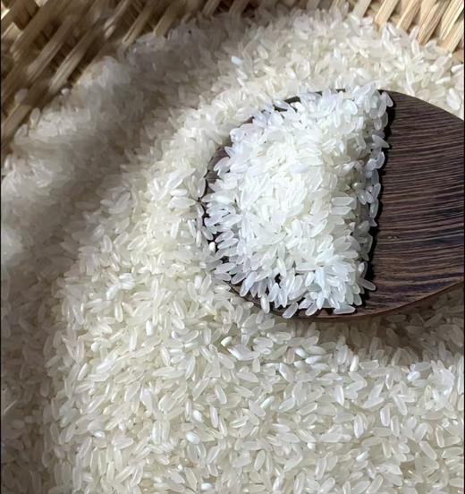 正宗五常稻花香2号 商品图1