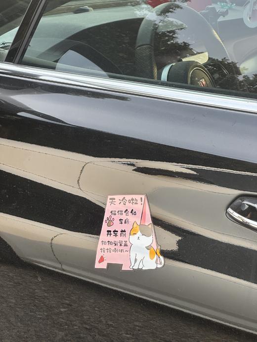 糗糗庄园-原创插画磁吸宠物车贴120×129mm 商品图2