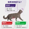 【法国原装进口】费利威费洛蒙猫信息素喷雾及加热套装剂 外出就医搬家途中 情绪安抚 预防应急 正品保证 假一赔十 商品缩略图5