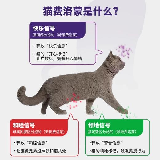 【法国原装进口】费利威费洛蒙猫信息素喷雾及加热套装剂 外出就医搬家途中 情绪安抚 预防应急 正品保证 假一赔十 商品图5