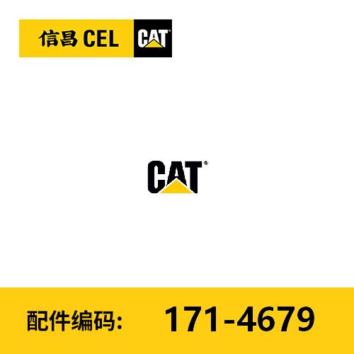 蛇形皮带(1714679) 商品图0