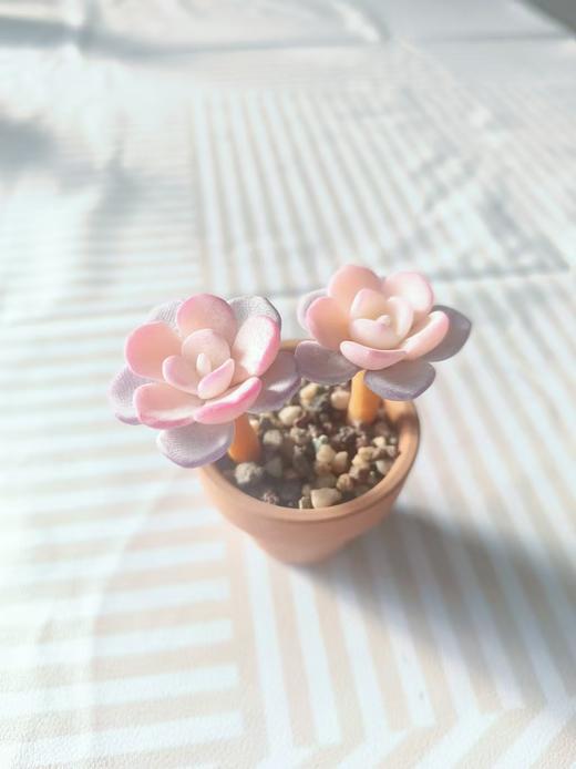 大地软陶双头 商品图0