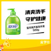 蓝月亮芦荟洗手液500g 商品缩略图0