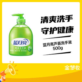 蓝月亮芦荟洗手液500g