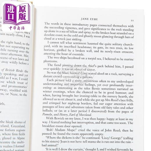 预售 【中商原版】经典小说传承典藏系列 简爱 Jane Eyre Heritage Collection 英文原版 夏洛蒂勃朗特 Charlotte Bronte 名著 商品图2