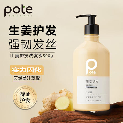 买一送一再送2包试用体验装【柏缇POTE  生姜养护洗发水】500ML一瓶，萃取天然姜汁，强韧发丝，臻养护发！ 商品图0
