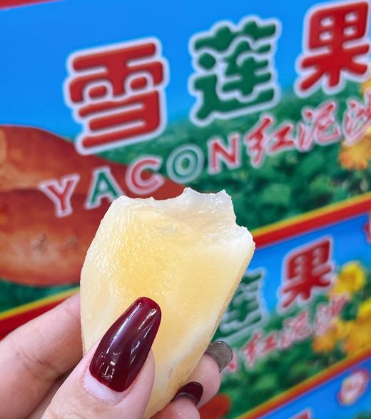 雪莲果 约4斤/箱  |蔬果 商品图0