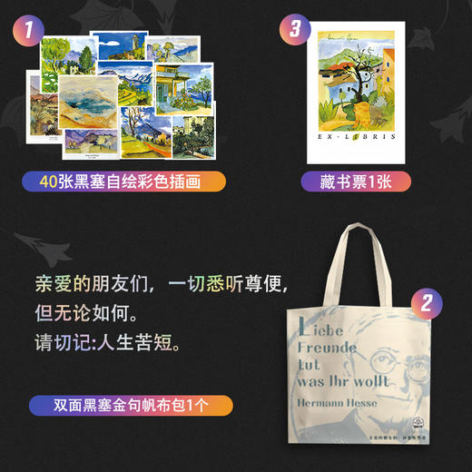 《漫长夏日黑塞文集》（精装全5册） 商品图3