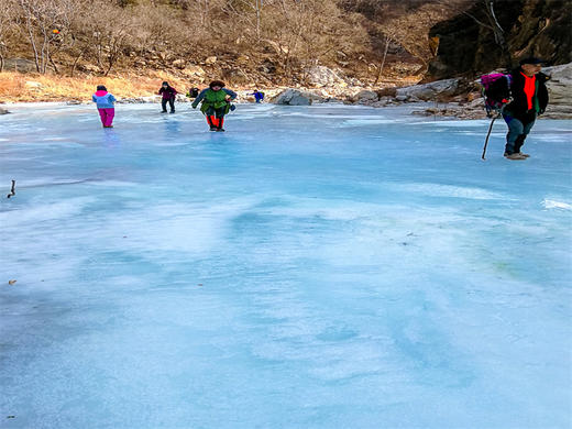 【藤萝谷冰瀑1日】原始次森林-藤萝冰河冰瀑冷水峪-河防口-九谷口8公里<初级强度> 商品图7