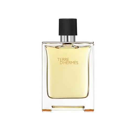 Hermes/爱马仕大地男士淡香水100ml 商品图1