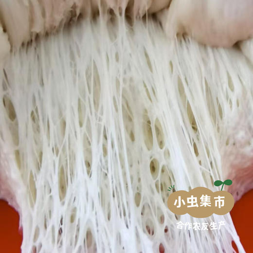 自然农耕掖青麦面粉 5斤/10斤（白面粉/全麦面粉）| 合作农友生产，产自北京，生产者：王东 *【公平贸易农人定价】 商品图7