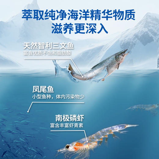深海鱼油猫咪用狗狗犬用防掉毛宠物专用卵磷脂美毛220g 商品图3
