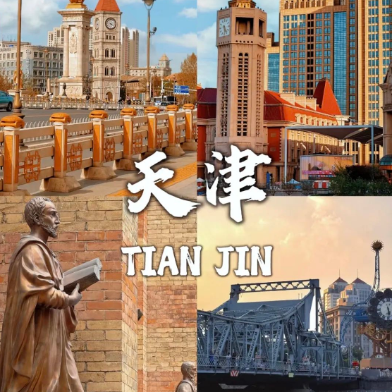 元旦1.5天【天津跨年B】东疆港海边日出•迎接2026年曙光の西伯利亚海鸥-打卡天津网红点（休闲）