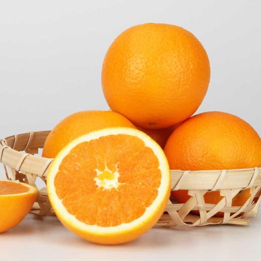 九月红果冻橙 商品图3