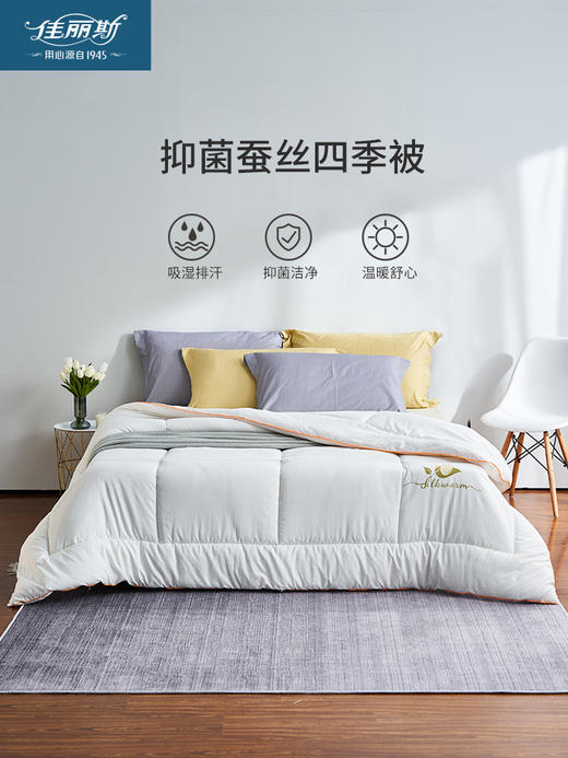 佳丽斯桑蚕丝被子保暖单人被芯温暖加厚冬被 商品图6
