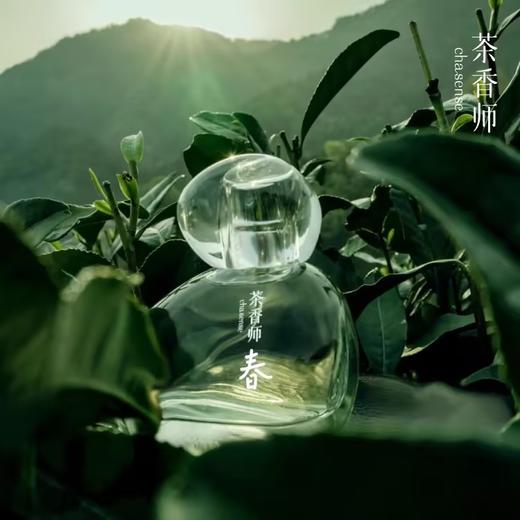 茶香师/香水 商品图3