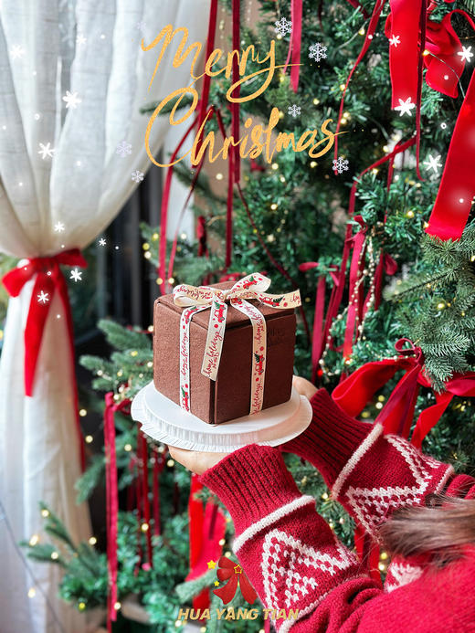 2024圣诞限定·饼干礼物盒子蛋糕·巧克力莓果奶油蛋糕 商品图2