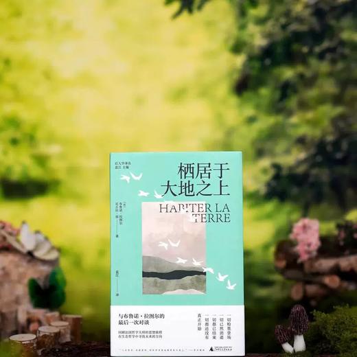 【书香卡专区】栖居于大地之上 （法）布鲁诺·拉图尔、（法）尼古拉·张 /著 商品图2