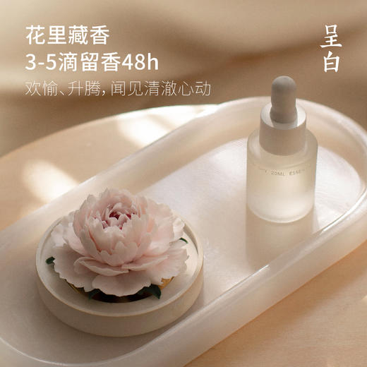 呈白 非遗瓷花香薰礼盒香氛礼物十二花神 商品图2
