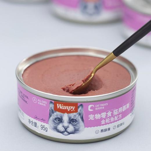 顽皮Wanpy95g金枪鱼配方宠物零食猫用慕斯罐头 商品图1