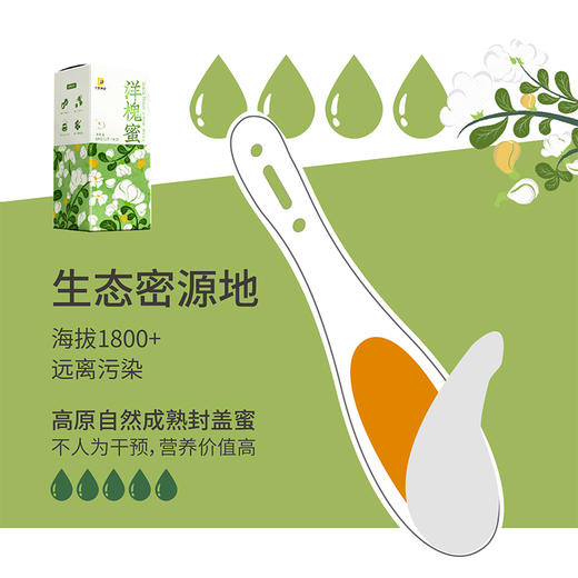 云品【丁氏蜂业】云南高原正宗高原洋槐勺子蜜 1盒（12g*10袋） 商品图2