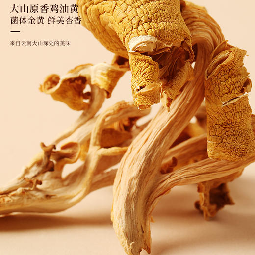 【福东海】山野臻品四拼礼盒280克（虫草花80克、鹿茸菇70克、鸡油黄30克、花菇100克）/盒  菌菇汤包 虫草花姬松茸 花菇 鸡油黄 滋补煲汤汤料材料420克 商品图3