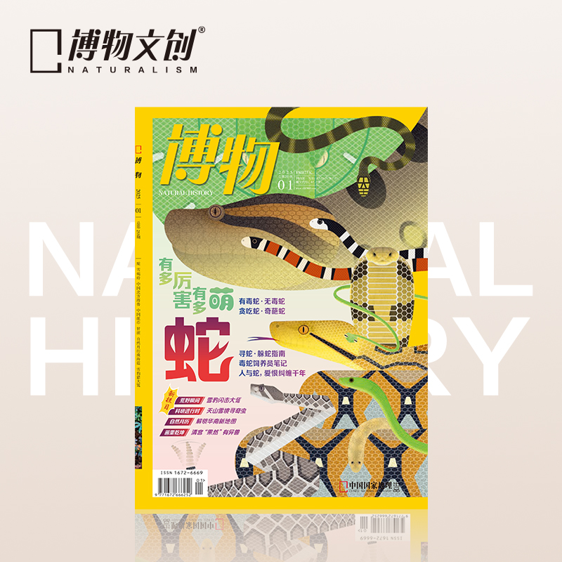 博物杂志 2025年1月刊  蛇  精美大拉页 博物大学 青少年科普杂志