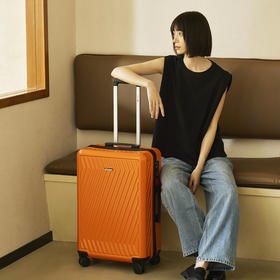 凌秀President轻便结实耐用拉链行李箱PAE139-2