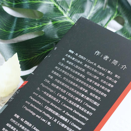 万千心理·犯罪心理学（第11版） 商品图6