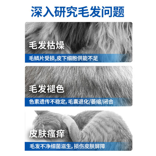 深海鱼油猫咪用狗狗犬用防掉毛宠物专用卵磷脂美毛220g 商品图1