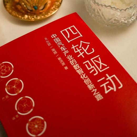 官网 四轮驱动 中国汽车产业的数智化创新之路 一本书看透汽车产业数智化转型中的真问题 汽车产业 数智化转型 企业战略管理书籍 商品图2