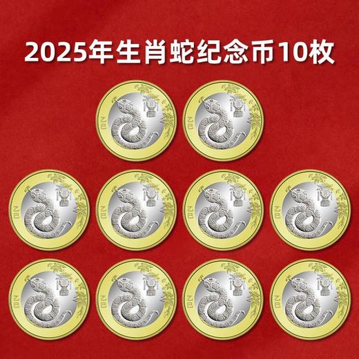 【全新预定】2025蛇年纪念币 商品图5