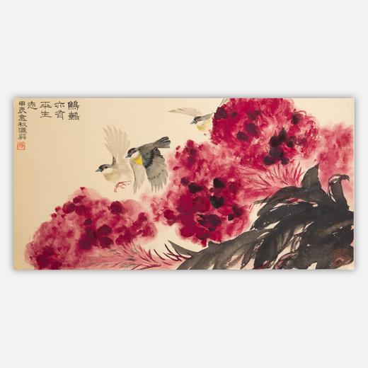 姚涯屏《鹪鹩亦有平生志》国画33.5CM×66CM 约2平尺手绘纸本宣纸作品（灰鹡鸰、鸡冠花）【原作编号GH0410】 商品图0