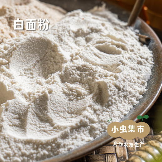 自然农耕掖青麦面粉 5斤/10斤（白面粉/全麦面粉）| 合作农友生产，产自北京，生产者：王东 *【公平贸易农人定价】 商品图2