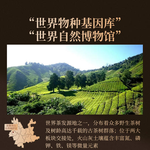 正山堂骏眉中国 苍山金叶 特级红茶云南高黎贡山一芽一叶罐装 商品图5