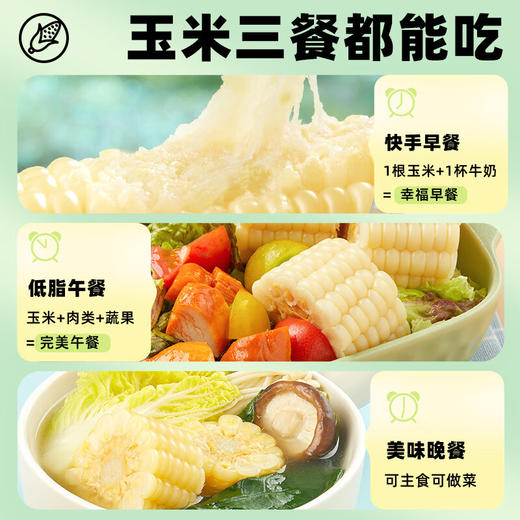 【十月稻田】白糯玉米段2.08kg/箱 商品图6