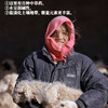 国家地理标识产品，真正的盐池滩羊来啦，检测SGS30项激素等0检出现，宰现发鲜羊肉吃手抓超过瘾的盐池羔羊肉 商品缩略图2