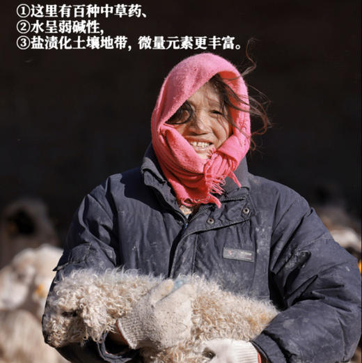 国家地理标识产品，真正的盐池滩羊来啦，检测SGS30项激素等0检出现，宰现发鲜羊肉吃手抓超过瘾的盐池羔羊肉 商品图2