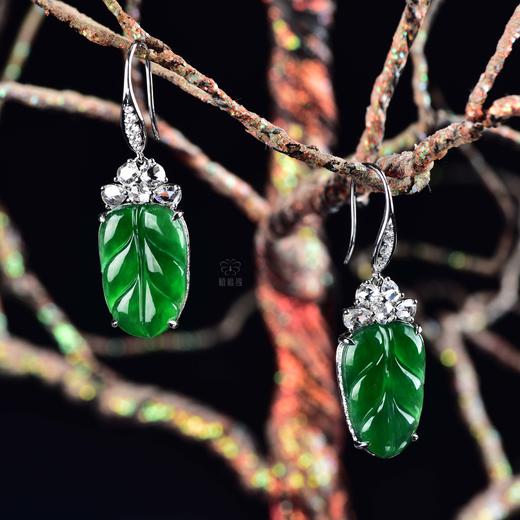 【金枝玉叶】翡翠耳坠-EZ12407039M 商品图1