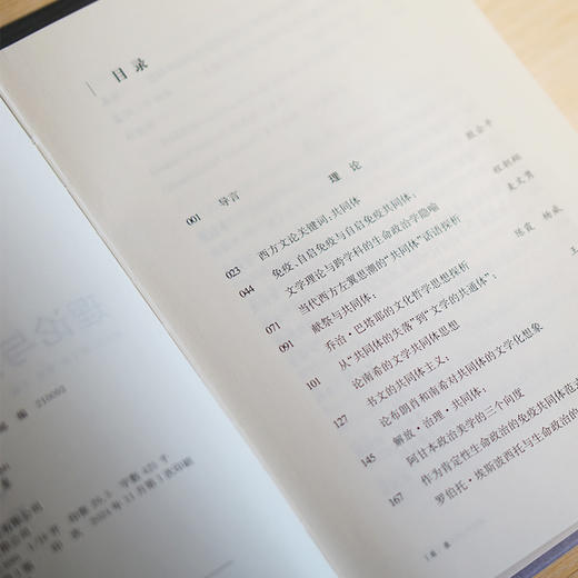 共同体：理论与实践 商品图4