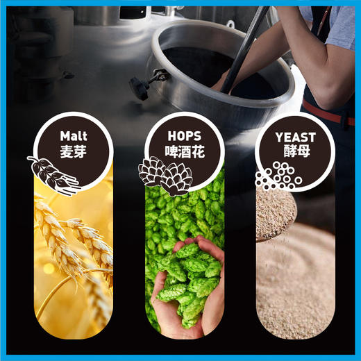 莱宝经典精酿德式小麦500ml聚会豪饮装白啤风味4瓶装 商品图1