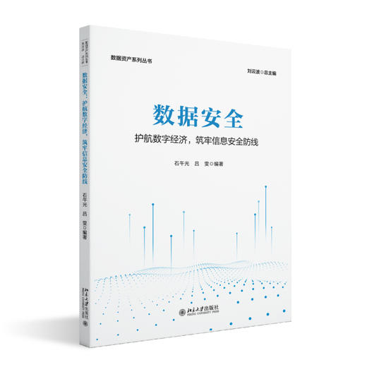 数据安全：护航数字经济，筑牢信息安全防线 石午光 吕雯 编著 北京大学出版社 数据资产系列丛书 商品图0