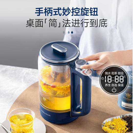 【摩飞养生壶MR6089】家用多功能办公室小型煮茶壶玻璃花茶便携式保温烧水壶 商品图1