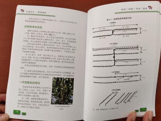 葡萄栽培图解 商品图2