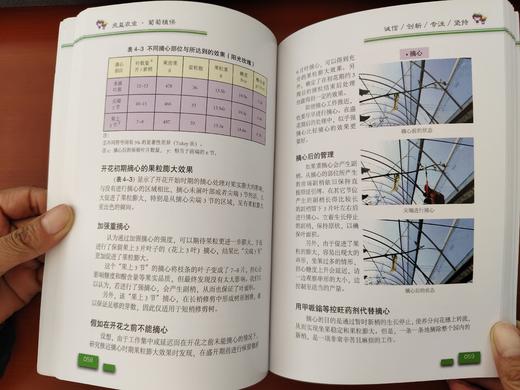 葡萄栽培图解 商品图4