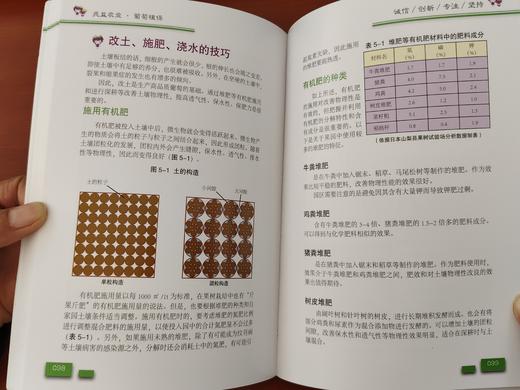 葡萄栽培图解 商品图3