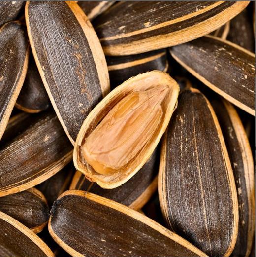 聚创世家原味瓜子-380g 商品图1