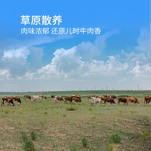 内蒙古草原散养有机牛肉礼盒装 商品图2