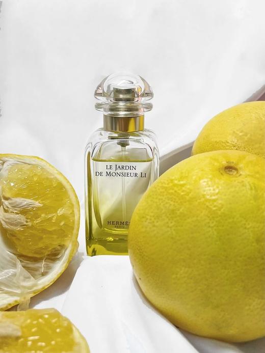 海免版越南原香爱马李先生花园治愈宁静致远 商品图11