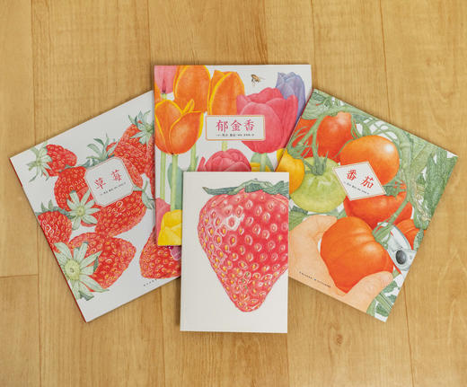 荒井真纪自然观察绘本：全3册（精）（3岁+） 商品图5